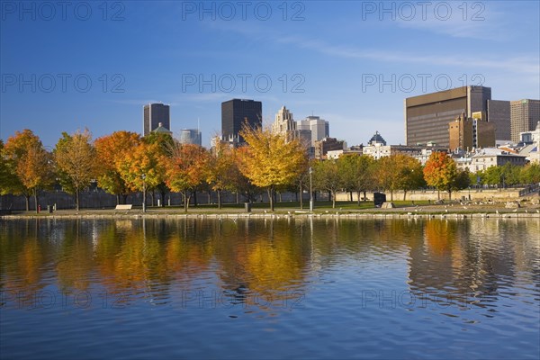 Row of Acer, Maple trees with orange and yellow leaves and Montreal skyline with Aldred, Place Ville Marie and Courthouse buildings taken from Bonsecours basin in autumn, Quebec, Canada, North America