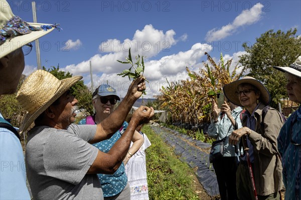 San Pablo Huitzo, Oaxaca, Mexico, Farmers are part of a cooperative that uses agroecological principles. They avoid pesticides and other chemicals, and recycle nutrients through the use of organic fertilizers. Hilario Roberto Gonzalez talks to visitors about his farming methods, Central America