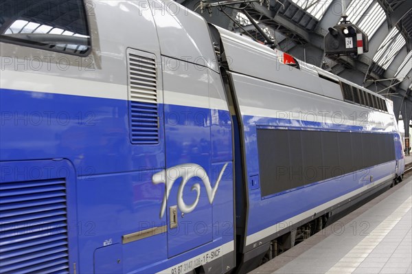 TGV at Marseille-Saint-Charles station, Marseille, A modern TGV high-speed train at the station, ready for departure, Marseille, Departement Bouches-du-Rhone, Region Provence-Alpes-Cote d'Azur, France, Europe