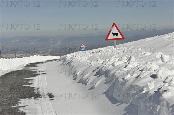 Mountains in Andalusia, Mountain range with snow, near Pico del Veleta, 3392m, Gueejar-Sierra, Sierra Nevada National Park, Winter mountain road with snowdrifts and traffic signs warning of jumping deer, Costa del Sol, Andalusia, Spain, Europe