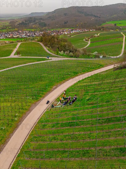 Cyclist riding on a path through vineyards, village and trees in the background, Jesus Grace Chruch, Weitblickweg, Easter hike, Hohenhaslach, Germany, Europe