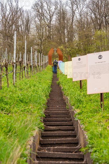 A staircase leads through a vineyard past modern art installations, surrounded by nature, Jesus Grace Chruch, Weitblickweg, Easter hike, Hohenhaslach, Germany, Europe