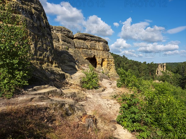 Klusfelsen and Fuenffingerfelsen in the Klusberge, sandstone rocks with natural and artificial caves in the Harz Mountains, Halberstadt, Saxony-Anhalt, Germany, Europe