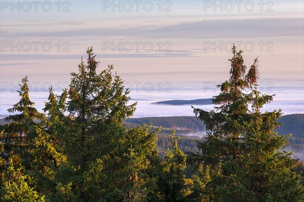 Morning atmosphere with morning light and morning fog on the Schneekopf in the Thuringian Forest, view over endless forests, above the clouds, Gehlberg, Thuringia, Germany, Europe