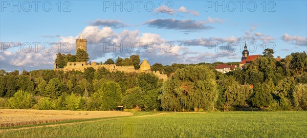 Panorama, Schoenburg castle and village in the Saale valley in the evening light, Schoenburg (Saale), Saxony-Anhalt, Germany, Europe