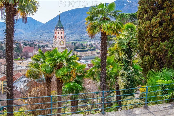 Subtropical vegetation in spring on the Tappeiner promenade with the tower of the parish church, Merano, Pass Valley, Adige Valley, Burggrafenamt, Alps, South Tyrol, Trentino-South Tyrol, Italy, Europe