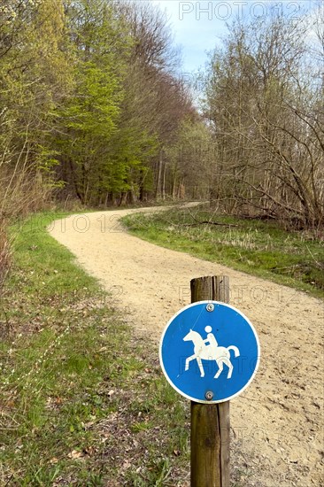 Sign for riders in front of designated signposted bridle path with soft sandy ground leading through mixed forest in spring, Germany, Europe