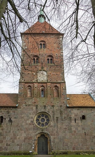 Alexanderkirche, Wildeshausen, Lower Saxony, Germany, Europe