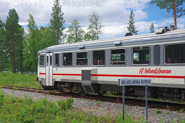 A diesel train of the Inlandsbanan in front of a forest, railway, inland railway, Vilhelmina Norra, Sweden, Europe
