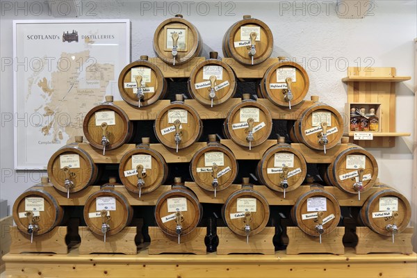Wuerzburg, row of whisky casks with labels in a distilling environment, Wuerzburg, Lower Franconia, Bavaria, Germany, Europe