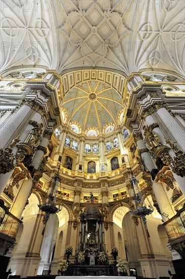 Santa Maria de la Encarnacion, Cathedral of Granada, interior view of a richly decorated church dome with gold-coloured elements, Granada, Andalusia, Spain, Europe