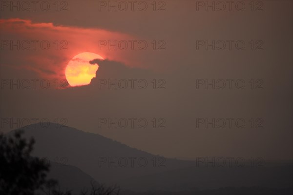 Sunrise, Limpopo, South Africa, Africa