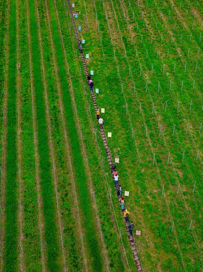 People walking on a narrow path next to railway tracks through green fields, Jesus Grace Chruch, Weitblickweg, Easter hike, Hohenhaslach, Germany, Europe