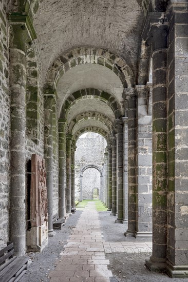 Arnsburg Abbey, ruins of the Romanesque abbey church, Lich. Hesse, Germany, Europe