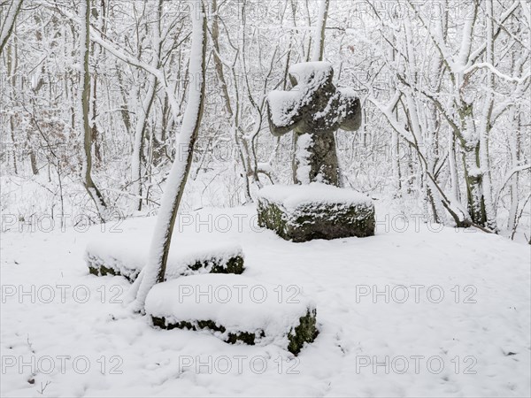 Medieval stone cross in a snow-covered forest in winter, murder cross, atonement cross, Freyburg (Unstrut), Saxony-Anhalt, Germany, Europe