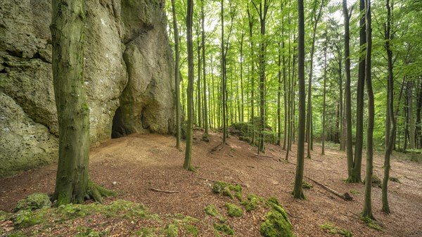 Geotope Fuchsbau, rock face with cave, Goessweinstein, Franconian Switzerland, Upper Franconia, Franconia, Bavaria, Germany, Europe
