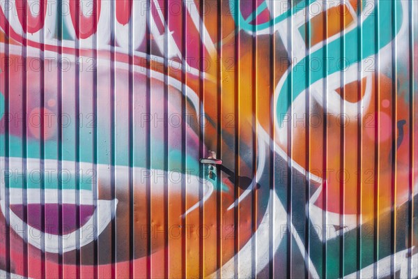 Graffiti, colourfully painted garage door, Bremen, Germany, Europe