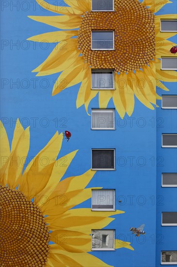 Sunflower house, painted sunflower and beetle on a skyscraper, artist Ulrich Allgaier, Wuppertal, North Rhine-Westphalia, Germany, Europe