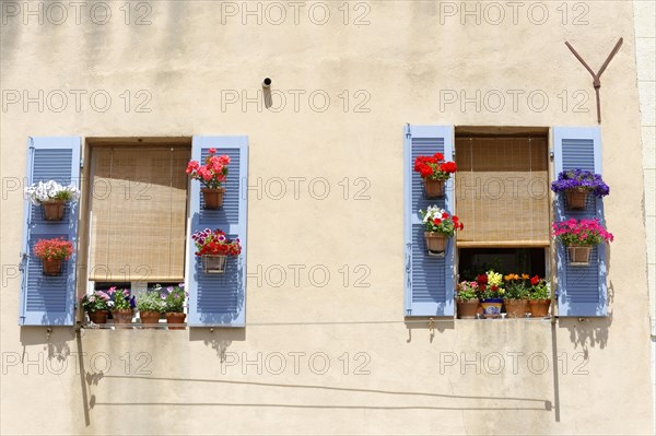 Marseille, Sunny house wall with blue shutters and colourful flower boxes, Marseille, Departement Bouches-du-Rhone, Region Provence-Alpes-Cote d'Azur, France, Europe