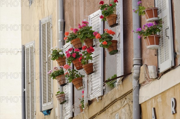 Marseille, Flower pots with red geraniums in front of white shutters on a house wall, Marseille, Departement Bouches-du-Rhone, Region Provence-Alpes-Cote d'Azur, France, Europe
