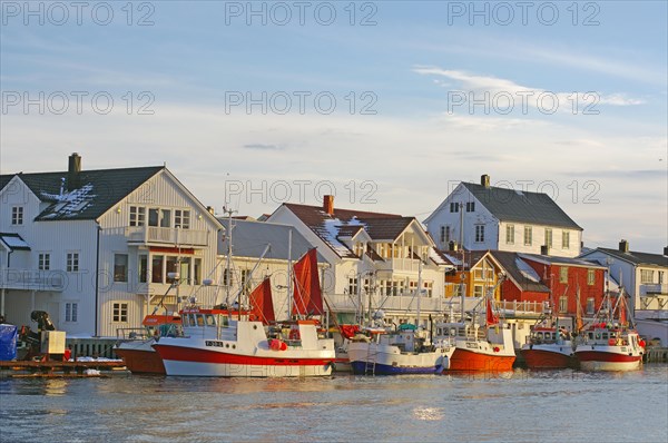 Fishing vessels in the last light of day in the harbour of Henningsvaer, Winter, Lofoten, Nordland, Norway, Europe
