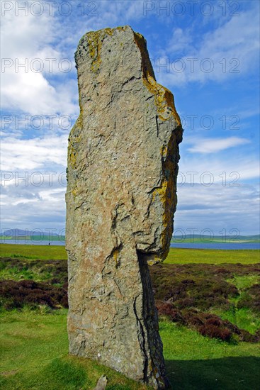 Standing stones from the Stone Age on a green meadow, Unesco World Heritage Site, Ring of Brodgar, Stromness, Orkney Islands, Scotland, UK