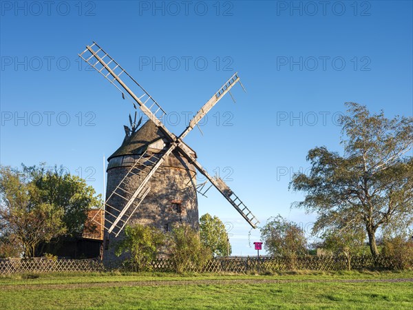 Traditional windmill in front of a blue sky, surrounded by trees and greenery, tower windmill, En, Saxony-Anhalt, Germany, Europe