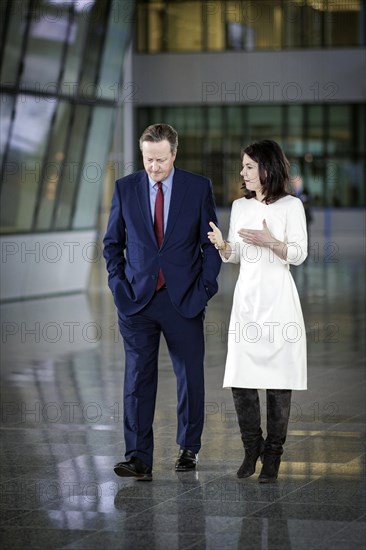 (R-L) Annalena Baerbock, Federal Foreign Minister, meets David Cameron, Secretary of State for Foreign, Commonwealth and Development of the United Kingdom of Great Britain and Northern Ireland, for talks on the margins of the NATO Foreign Ministers' Meeting. Brussels, 03.04.2024. Photographed on behalf of the Federal Foreign Office