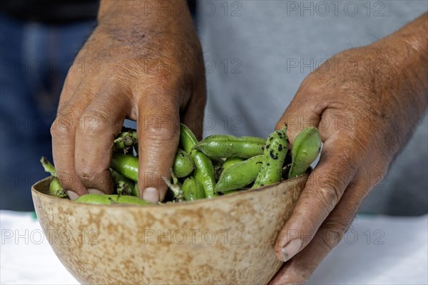 San Pablo Huitzo, Oaxaca, Mexico, Farmers are part of a cooperative that uses agroecological principles. They avoid pesticides and other chemicals, and recycle nutrients through the use of organic fertilizers. A farmer holds produce that he has grown, Central America