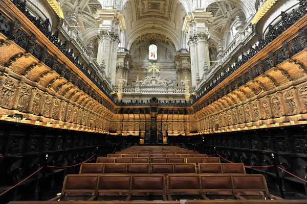 Jaen, Catedral de Jaen, Cathedral of Jaen from the 13th century, Renaissance art epoch, Jaen, Magnificent theatre hall with richly decorated rows of seats and ceilings, Jaen, Andalusia, Spain, Europe