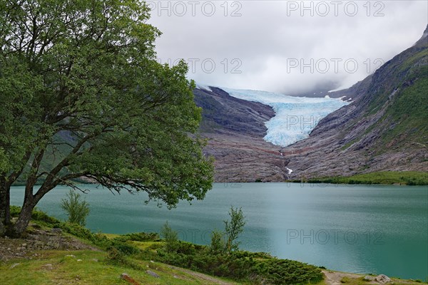 Glacier tongue and lake, Svartisen, Kystriksveien, FV 17, Nordland, Norway, Europe