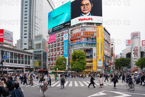 Digital billboards and pedestrians using the Shibuya Scramble Crossing, busy pedestrian intersection in Shibuya in capital city Tokyo, Japan, Asia