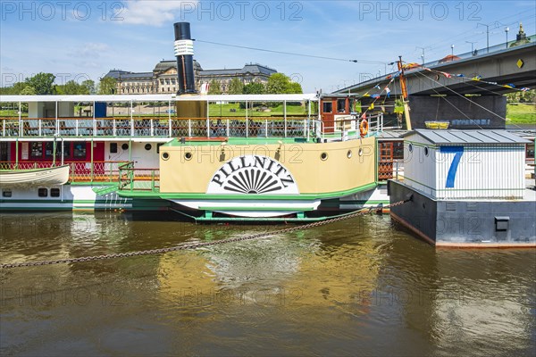 The historic paddle steamer PILLNITZ at the steamer landing stage on the Terrassenufer in Dresden, Saxony, Germany, Europe