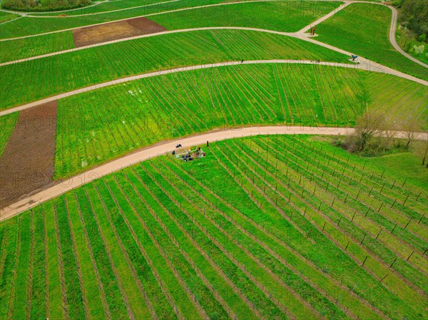 People at a crossroads in a vineyard with a view of a village in the background, Jesus Grace Chruch, Weitblickweg, Easter hike, Hohenhaslach, Germany, Europe