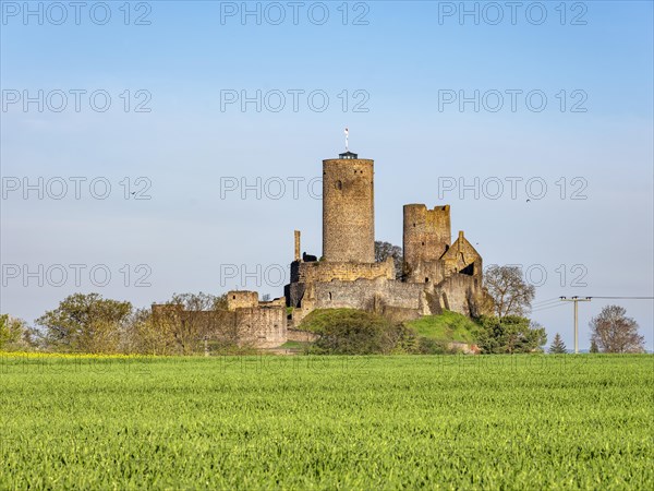 Muenzenberg Castle in the Wetterau in spring, Muenzenberg, Wetterau, Hesse, Germany, Europe