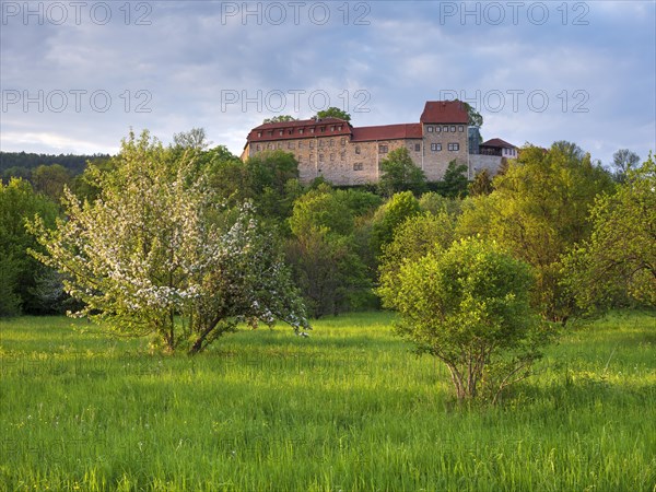 View of Creutzburg Castle in the last evening light, green meadow and blossoming fruit trees, Creuzburg, Thuringia, Germany, Europe