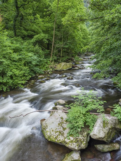 The River Bode with rapids and boulders in the Bode Valley between Thale and Treseburg, Harz National Park, Thale, Saxony-Anhalt, Germany, Europe