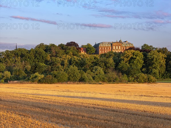 View over stubble field to Burgscheidungen Castle in the evening light, Unstruttal, Burgenlandkreis, Saxony-Anhalt, Germany, Europe