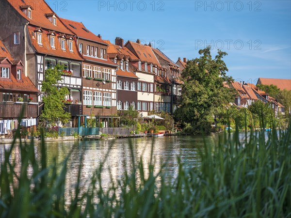 Row of houses Little Venice on the banks of the Pegnitz, Bamberg, Upper Franconia, Bavaria, Germany, Europe