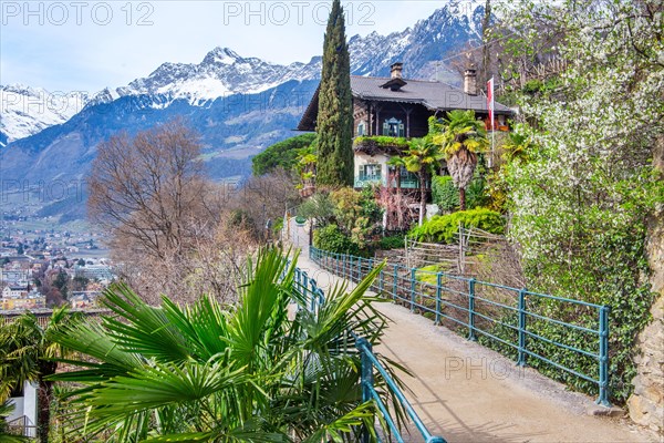 Tappeiner Promenade, Tappeiner Trail in spring with the Texel Group, Merano, Pass Valley, Adige Valley, Burggrafenamt, Alps, South Tyrol, Trentino-South Tyrol, Italy, Europe