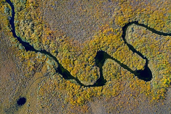 Aerial view over meandering stream in moorland in autumn, fall at Hedmark, Innlandet, Eastern Norway