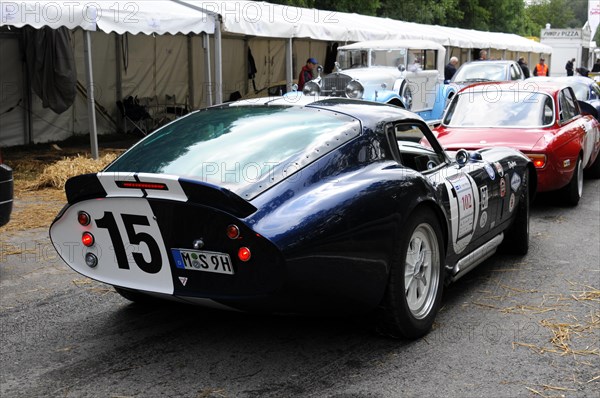 Rear view of a dark blue sports car with the number 15, SOLITUDE REVIVAL 2011, Stuttgart, Baden-Wuerttemberg, Germany, Europe