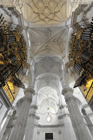 Santa Maria de la Encarnacion, Cathedral of Granada, Baroque church with detailed vaulted ceiling and magnificent columns, Granada, Andalusia, Spain, Europe