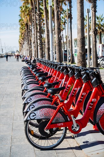 Hire bikes on the beach in Barcelona, Spain, Europe