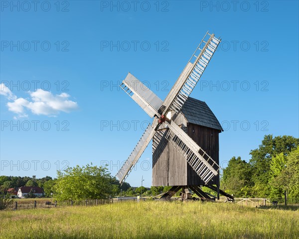 Mill, windmill, trestle windmill, Bad Dueben, Saxony, Germany, Europe