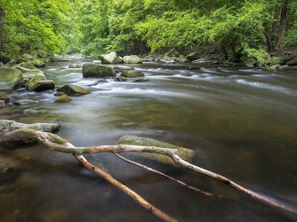 The River Bode with rapids and boulders in the Bode Valley between Thale and Treseburg, Harz National Park, Thale, Saxony-Anhalt, Germany, Europe