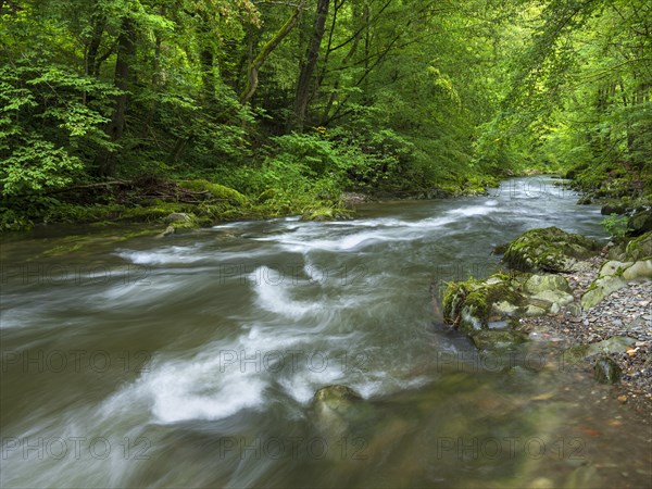 The Schwarza river surrounded by green forest in the Schwarzatal valley between Bad Blankenburg and Schwarzburg, Thuringia, Germany, Europe