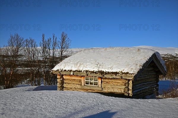 Log cabin in the evening light in the snow, Dovrefjell Sunndalsfjella National Park, Norway, Europe