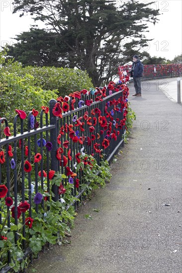 Cured Flowers, Road of Remembrance, Folkestone, Kent, United Kingdom, Europe