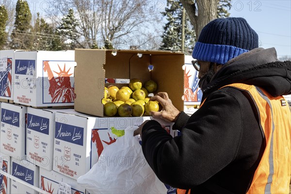 Detroit, Michigan, Free food is distributed to people attending a community health fair. A worker packages oranges for distribution